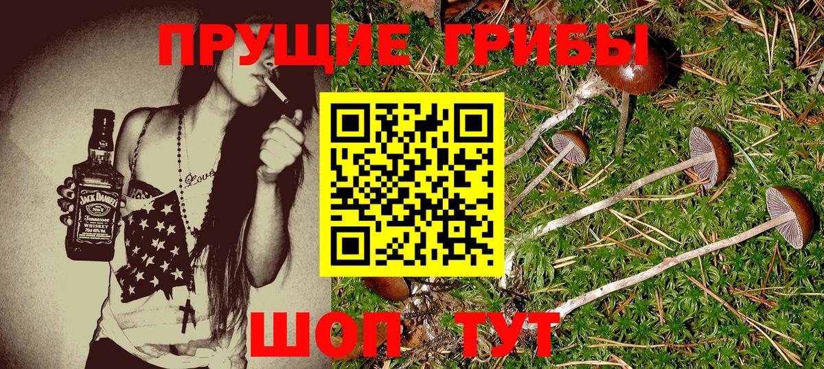 Галлюциногенные грибы мицелий Учалы